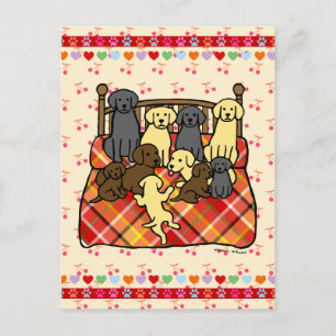 Postal Labradores en la cama King Size