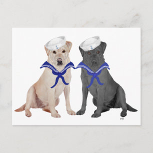 Postal Labradores Retriever amarillos y negros