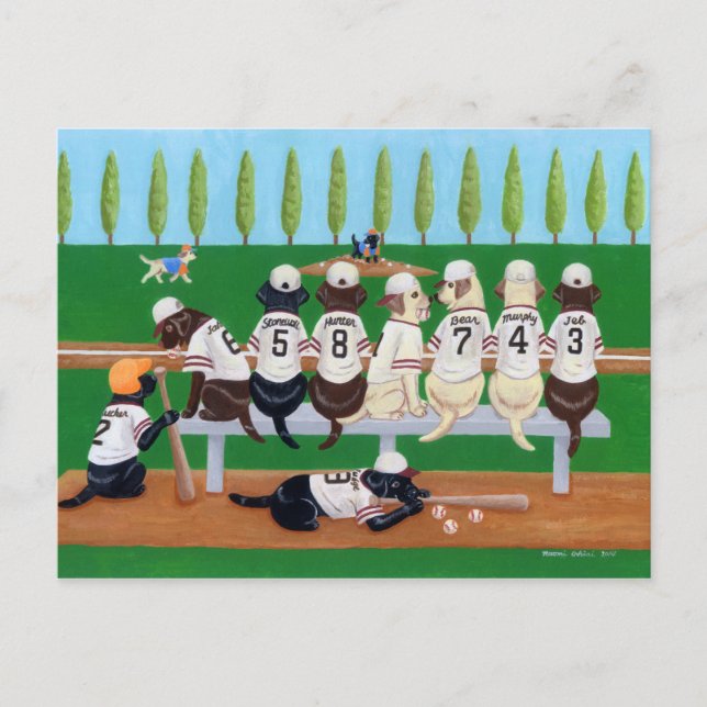 Postal Labradors del equipo de béisbol (Anverso)
