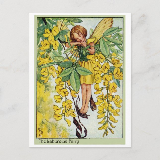 Postal Laburnum Fairy (Anverso)