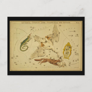 Postal Lacerta, Cygnus, Lyra, Vulpecula y Anser