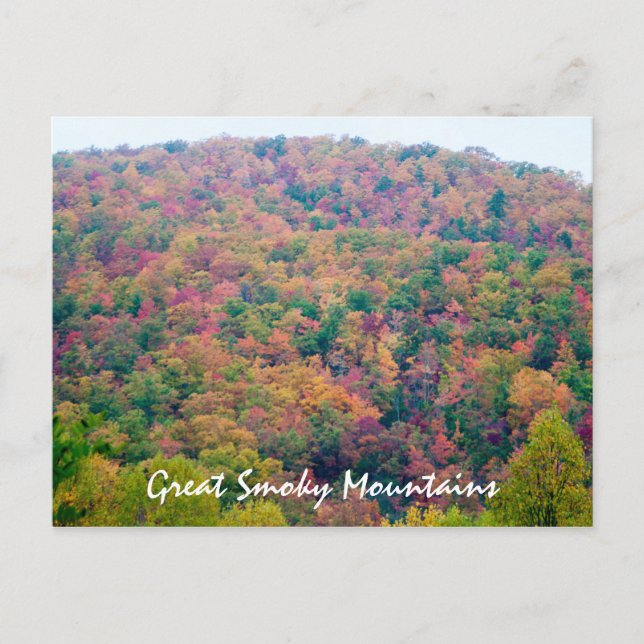 Postal Ladera en Color (Anverso)