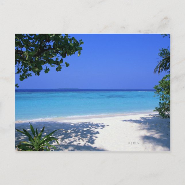 Postal Lado 13 (Anverso)