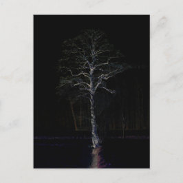 Postal Lado Oscuro 3 pccnm