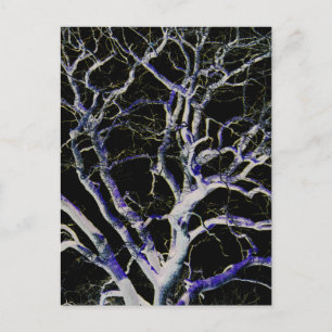 Postal Lado Oscuro 5 pccna