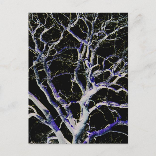 Postal Lado Oscuro 5 pccna (Anverso)