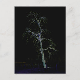 Postal Lado oscuro 8 pcna