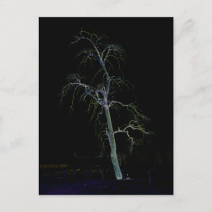 Postal Lado oscuro 8 pcna