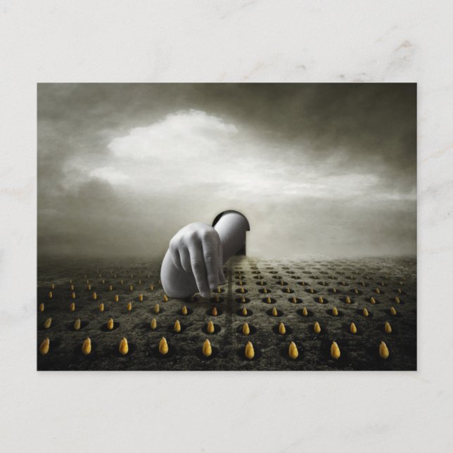 Postal Ladrón 2013 del tulipán (Anverso)