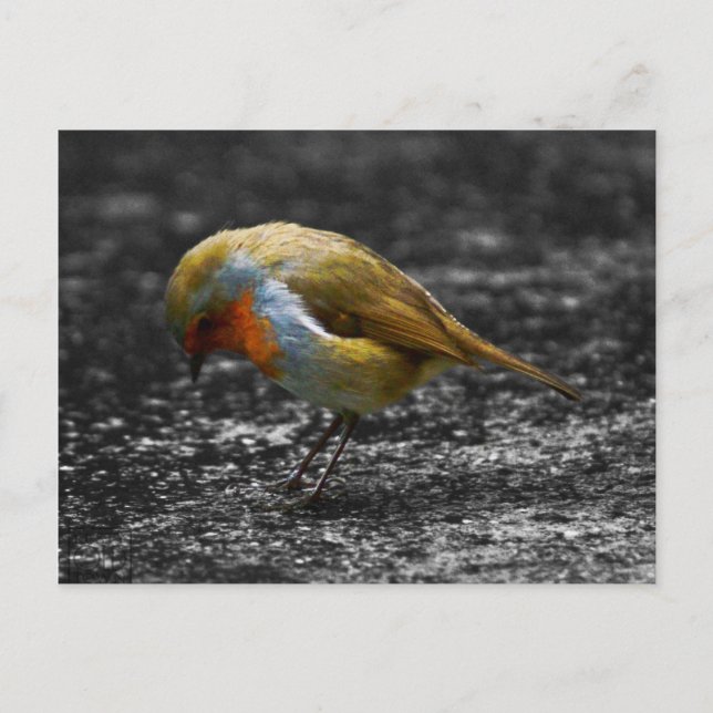 Postal ladrón triste (Anverso)