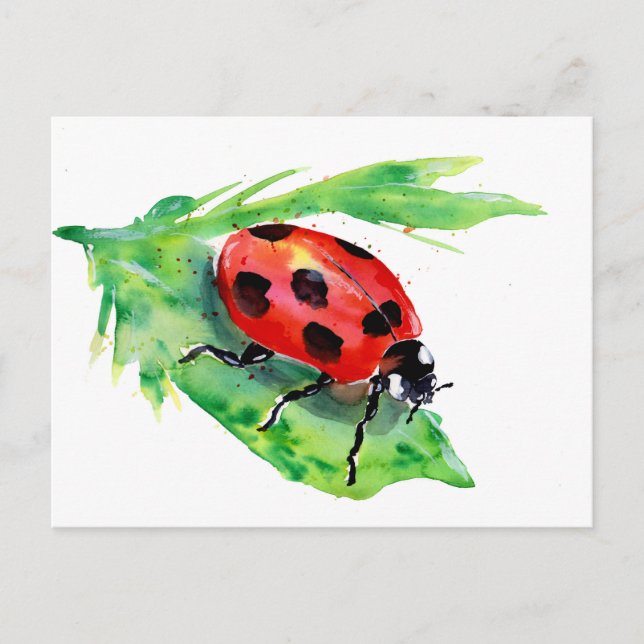 Postal Lady Bug en una hoja verde (Anverso)