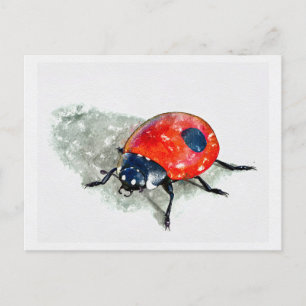 Postal Lady Bug Watercolor