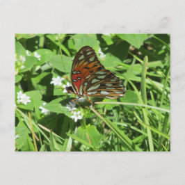 Postal Lady Butterfly pintada
