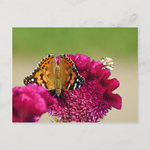 Postal Lady Butterfly pintada