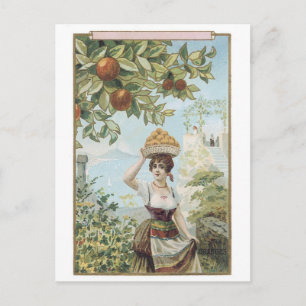 Postal Lady Caranting Fruit