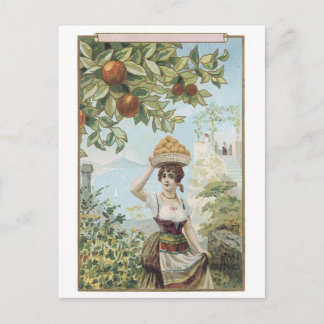 Postal Lady Caranting Fruit