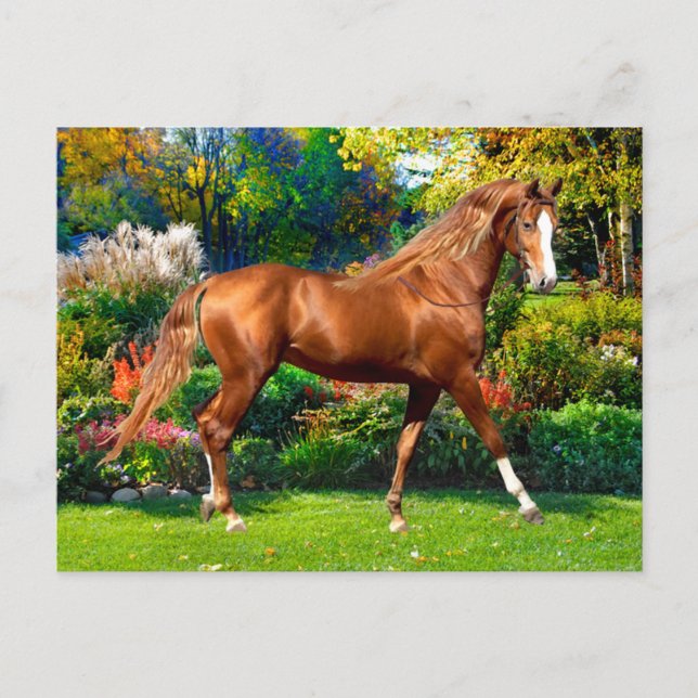 Postal Lady Jane (Anverso)