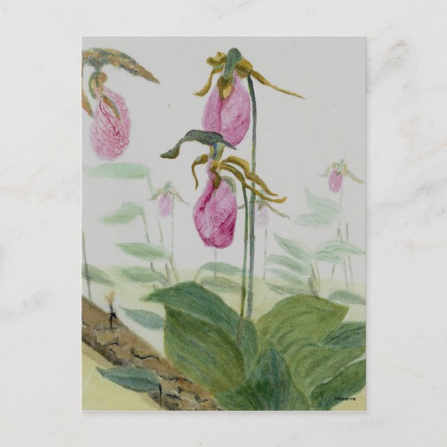 Postal Lady Slippers (Anverso)