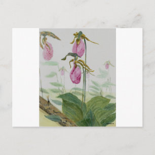 Postal Lady Slippers