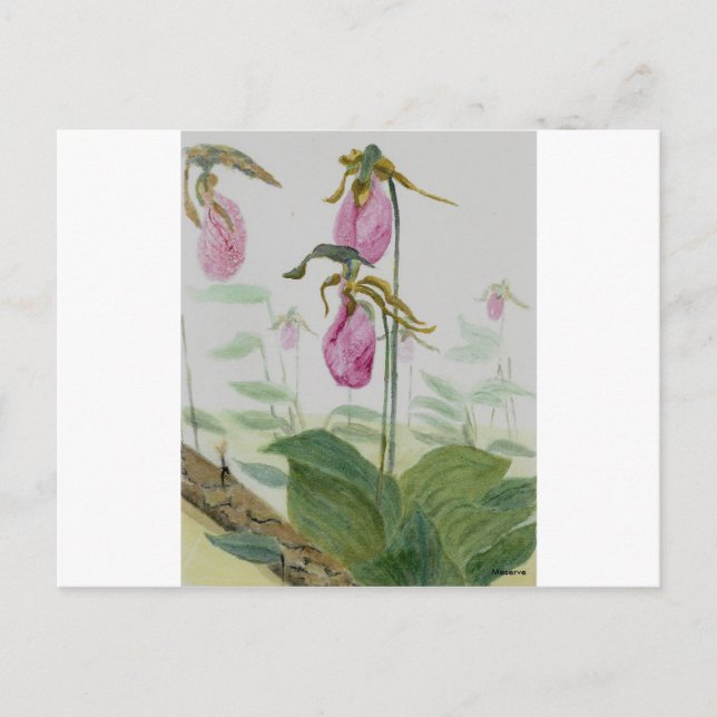 Postal Lady Slippers (Anverso)