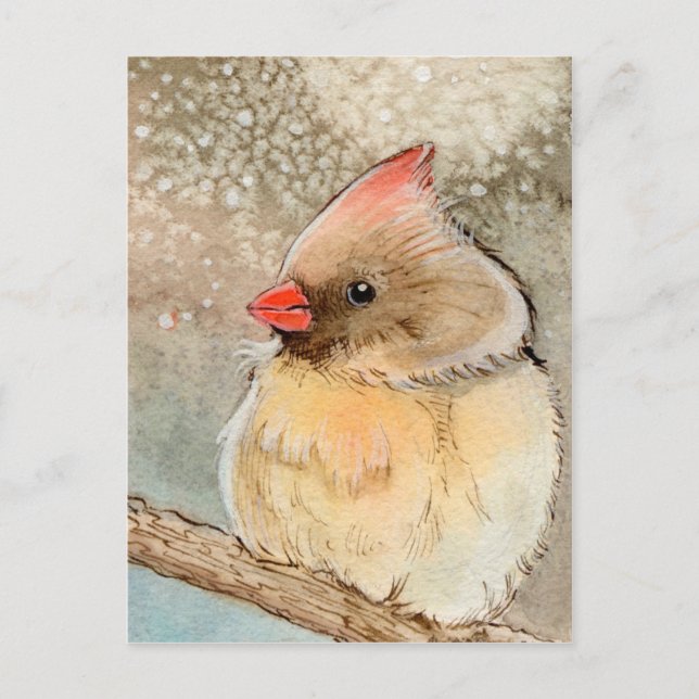 Postal Lady Winter Cardinal (Anverso)
