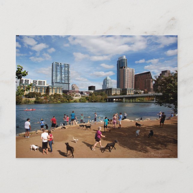 Postal Ladybird Lake Dog Park Austin Texas Skyline (Anverso)