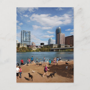 Postal Ladybird Lake Dog Park Austin Texas Skyline