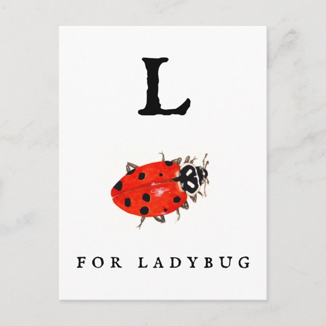 Postal Ladybug (Anverso)
