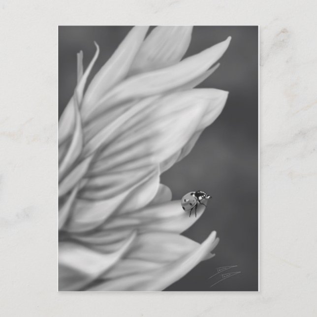 Postal Ladybug (Anverso)