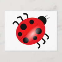 Ladybug - Ladybird