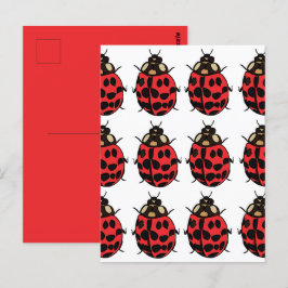 Postal Ladybug Red Black Insect Ladybug