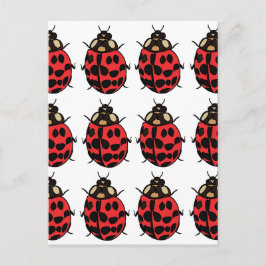 Postal Ladybug Red Black Insect Ladybug