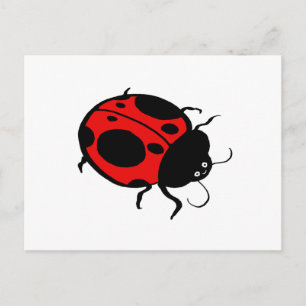 Postal Ladybug sonriente -