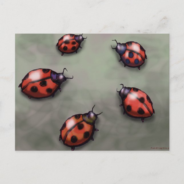 Postal Ladybugs (Anverso)