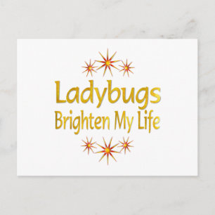 Postal Ladybugs alegran mi vida