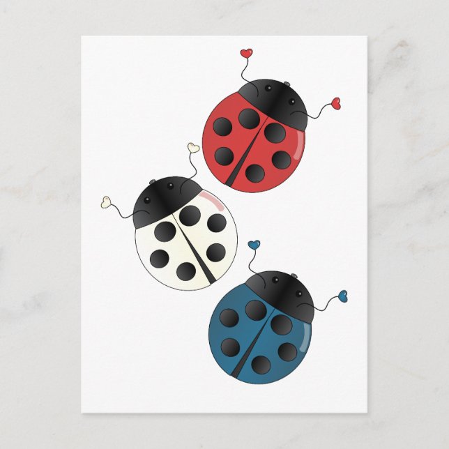 Postal Ladybugs de blanco y azul rojo (Anverso)
