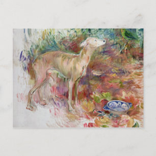 Postal Laerte el galgo, 1894