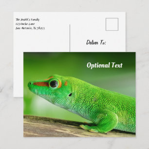 Postal Lagarto Gecko Verde Gigante