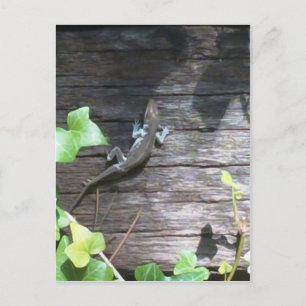 Postal lagarto gris en una pared de hiedra