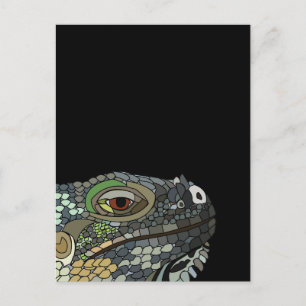 Postal Lagarto Iguana Animal Iguana