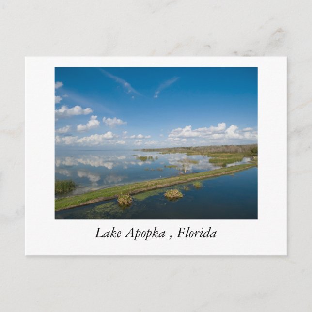 Postal Lago Apopka, Florida (Anverso)