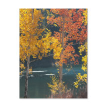 Lago beaver (lagos Mesa) en otoño