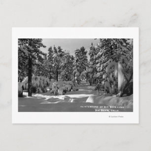 Postal Lago Big Bear, CA en la nieve de invierno