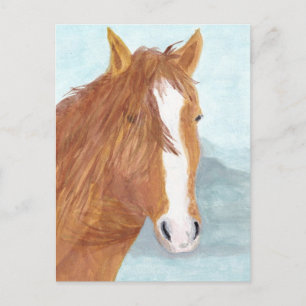 Postal Lago Brown Wild Horse Blue Mountain - acrílico.