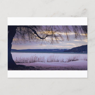 Postal Lago Cayuga/Ithaca