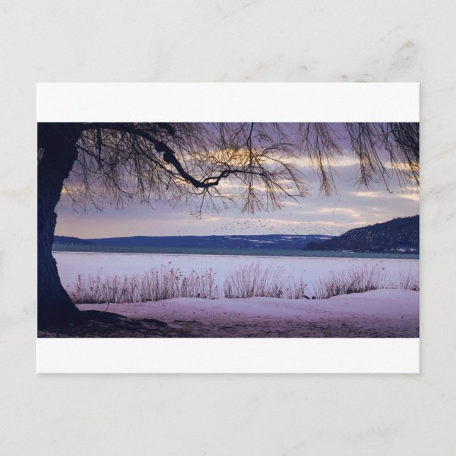 Postal Lago Cayuga/Ithaca (Anverso)
