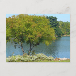 Postal Lago Centenario en Ellicott City Maryland