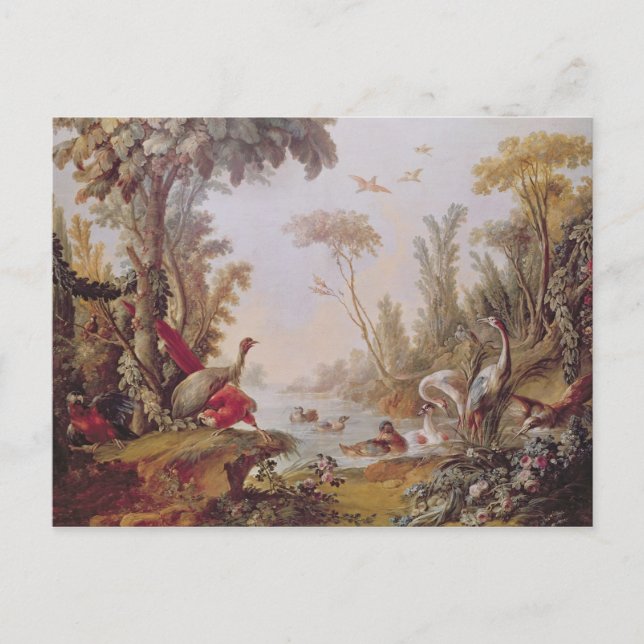 Postal Lago con gansos, cigüeñas, loros y garzas (Anverso)