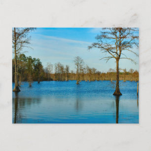 Postal Lago Cypress
