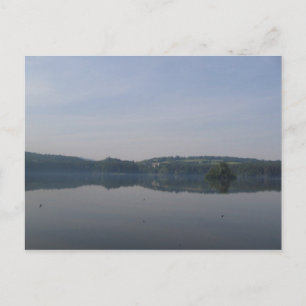 Postal lago de pájaro